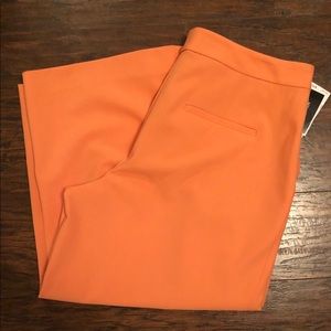 NWT* Nine West crop pant size 6
